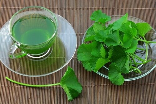 Infuso di sedano