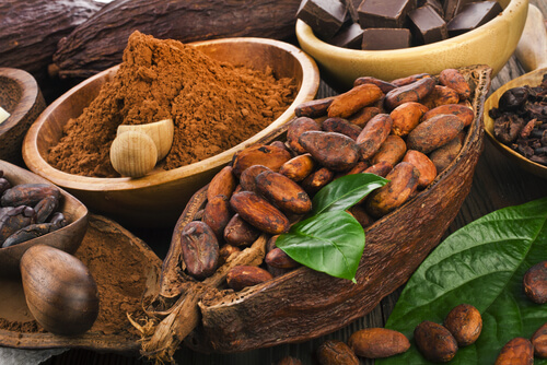 Cacao e cioccolato