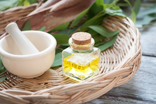 Olio di eucalipto