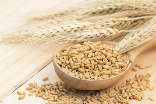 Orzo contro le macchie del viso