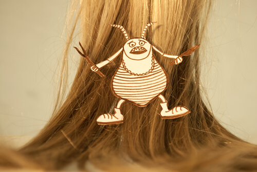 Capelli e pidocchio