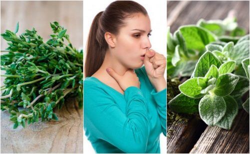Alleviare la tosse grassa con 5 piante medicinali