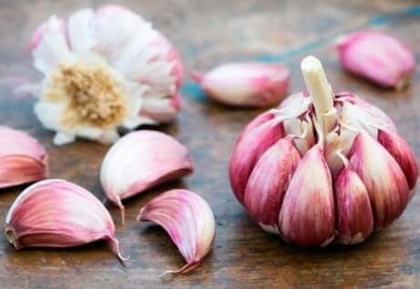 aglio per la candida