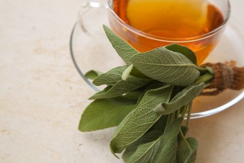 Infuso di salvia contro la faringite