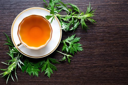 Tisana all'assenzio