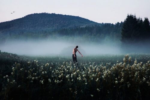 Uomo in un campo di fiori