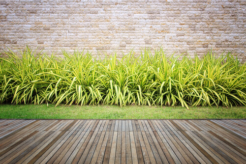 Usi domestici della birra in giardino