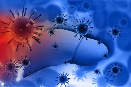 Virus dell'epatite.
