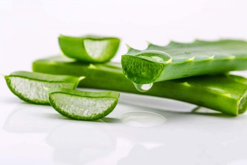 Pezzi di aloe vera