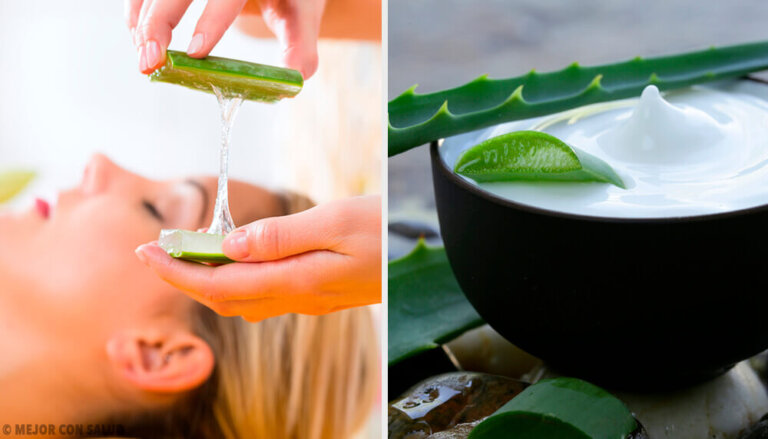 Struccanti all'aloe vera: come prepararli