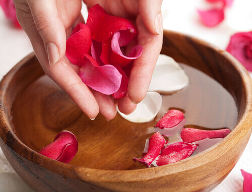 Acqua di rose