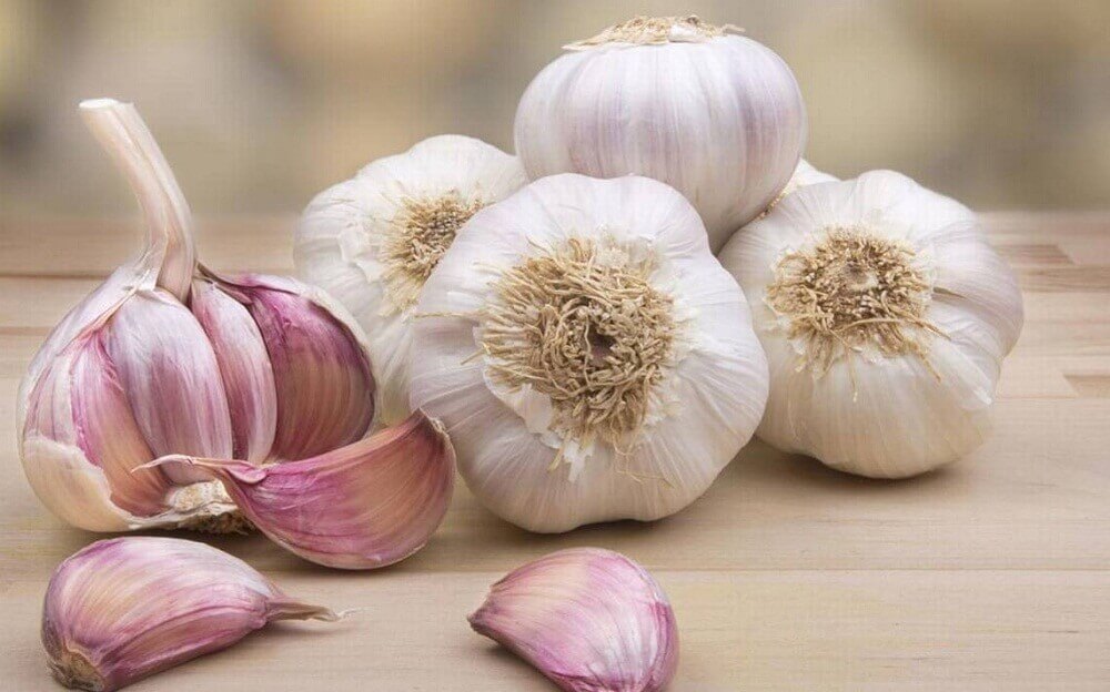 Aglio