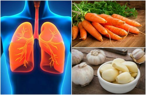 Migliorare la salute dei polmoni con 7 alimenti Migliorare la salute dei polmoni con 7 alimenti