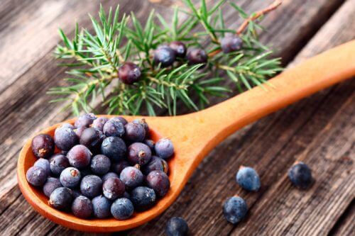 Bacche di ginepro e cucchiaio in legno