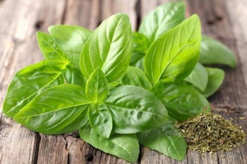 Basilico e pressione alta
