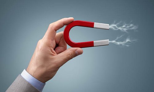 Calamita - profezia autoavverante