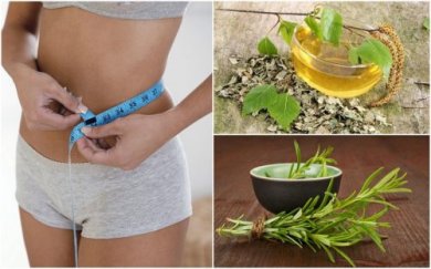 Dimagrire in modo sano con 8 erbe