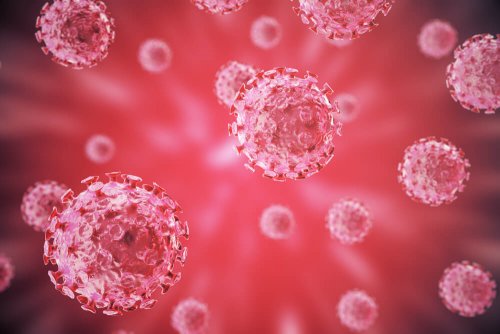 Il virus del papilloma umano