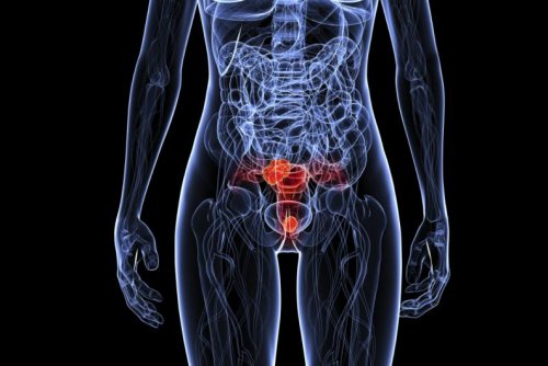 Informazioni base sul Virus del papilloma umano