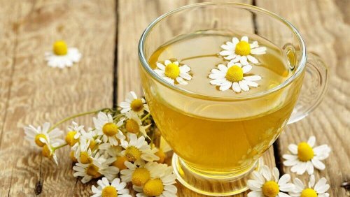 Infuso e fiori di camomilla