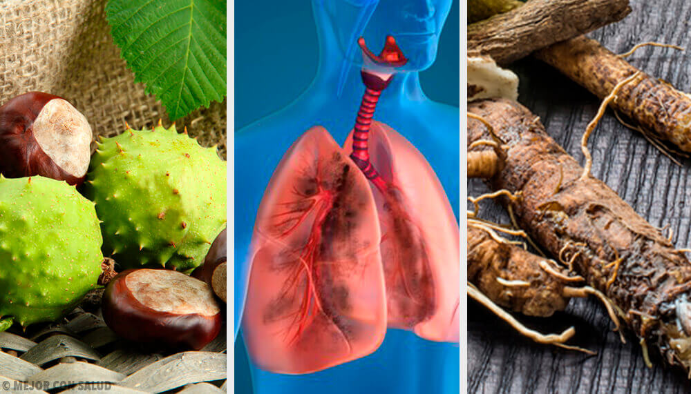 Rafforzare i polmoni e respirare meglio: 4 rimedi