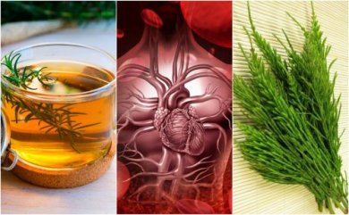 Migliorare la circolazione del sangue con erbe medicinali