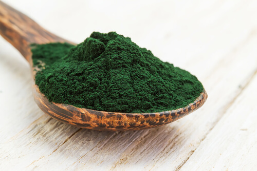 Spirulina in polvere su un cucchiaio di legno