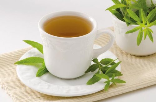 Tisana di verbena odorosa