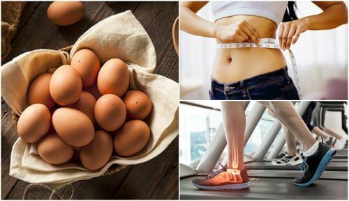 Includere le uova nella dieta: 7 buoni motivi