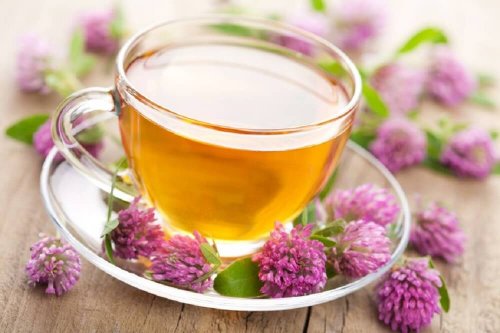 Infuso di valeriana