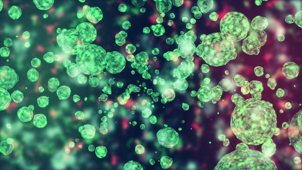 Virus Coxsackie