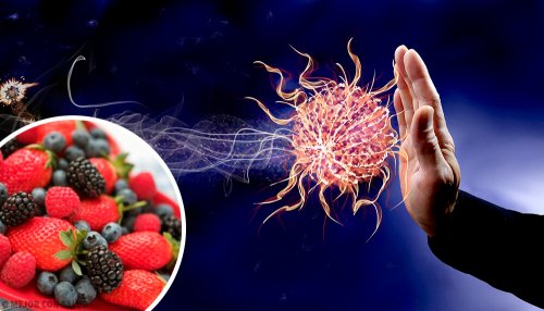 Aumentare le difese immunitarie: i 9 migliori alimenti