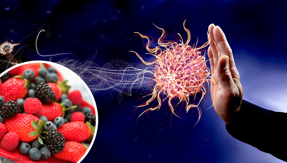 9 alimenti per aumentare le difese immunitarie 9 alimenti per aumentare le difese immunitarie