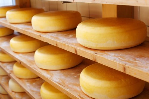 tipi di formaggio Cheddar