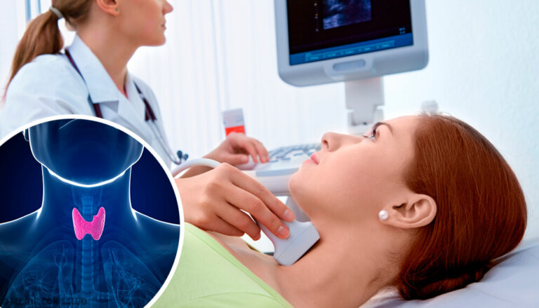 Qual è la funzione della tiroide?