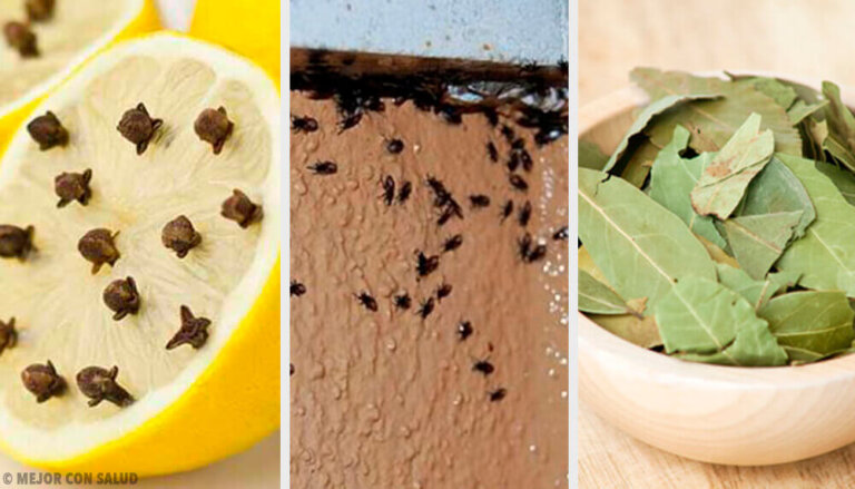 Eliminare gli insetti in modo naturale