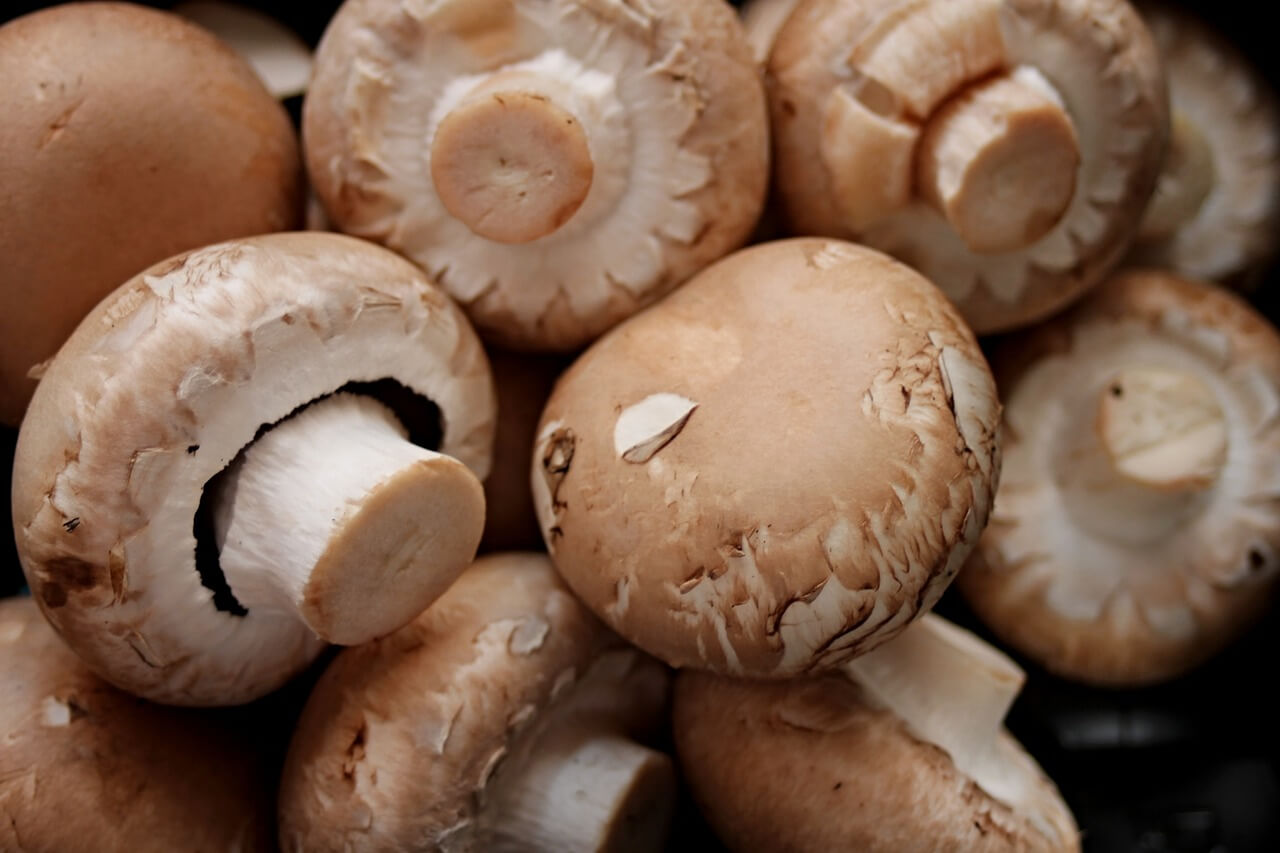 Champignon per aumentare le difese immunitarie