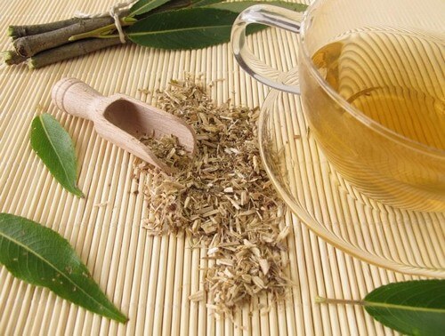 Infuso per la circolazione