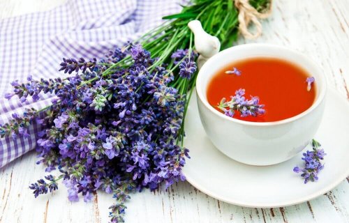 Lavanda