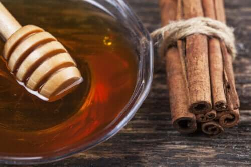 Miscela di miele e cannella: 8 benefici medicinali