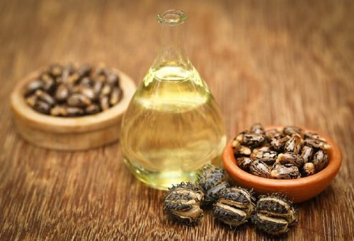Olio di ricino: utilizzi e benefici di questo prodotto