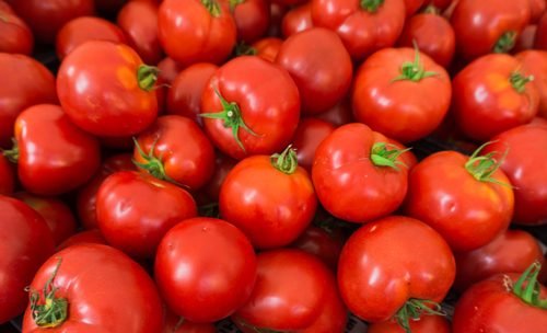 Pomodori