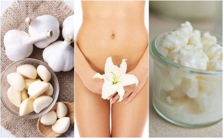 Proteggere le parti intime femminili: 7 alimenti