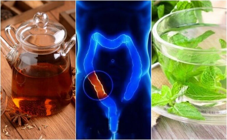 Ripulire il colon con 5 infusi naturali