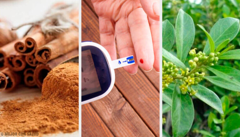 Tenere sotto controllo il diabete: piante officinali