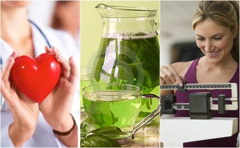 Bere tè verde: 6 importanti benefici