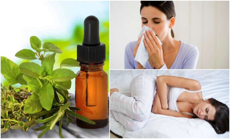 Usi medicinali dell'olio di origano