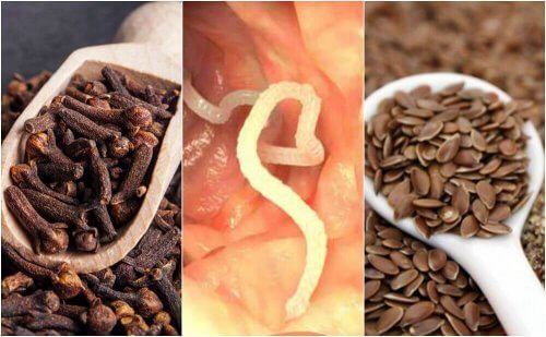 Eliminare i parassiti con semi di lino e chiodi di garofano