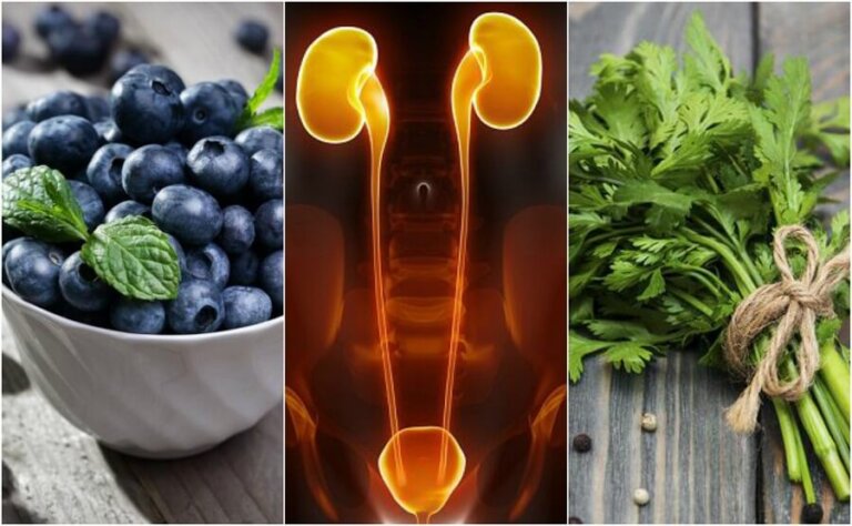 Proteggere reni e vescica: 7 alimenti adatti