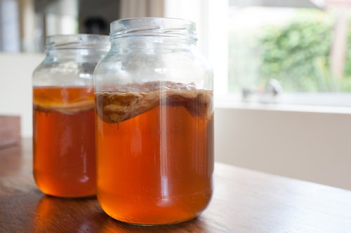 Infusi di kombucha
